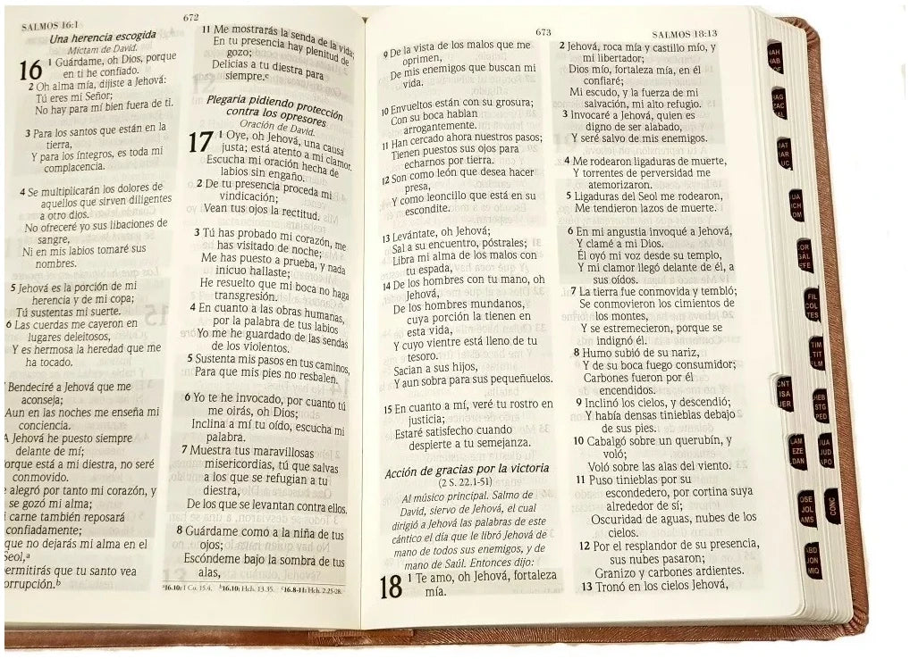 Biblia de Promesas RVR1960 INSPIRA para Mujeres - Color Oro/Rosa con Indice Letra 14 Puntos