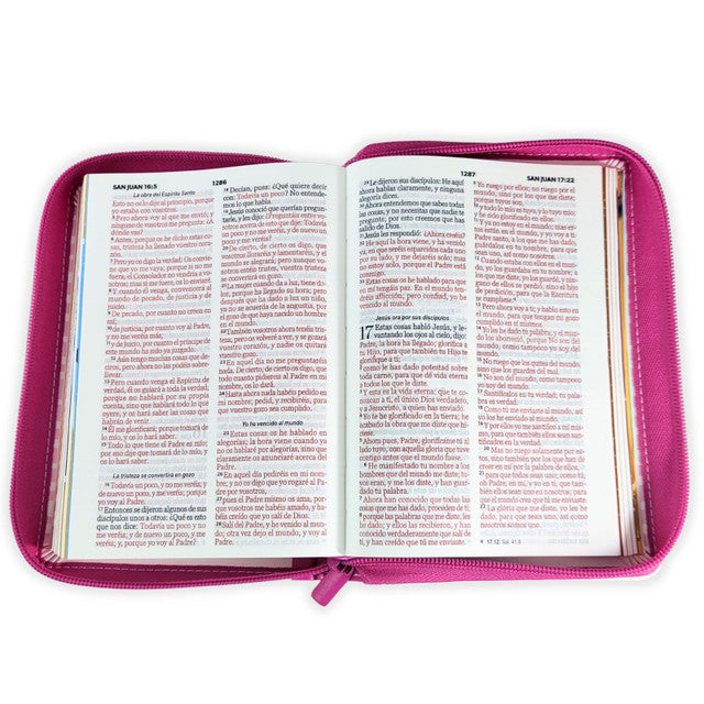 Biblia RVR1960 Mi Gran Viaje Para Niñas - Tamaño Compacta, Color Rosa Rayas, Letra 10 puntos