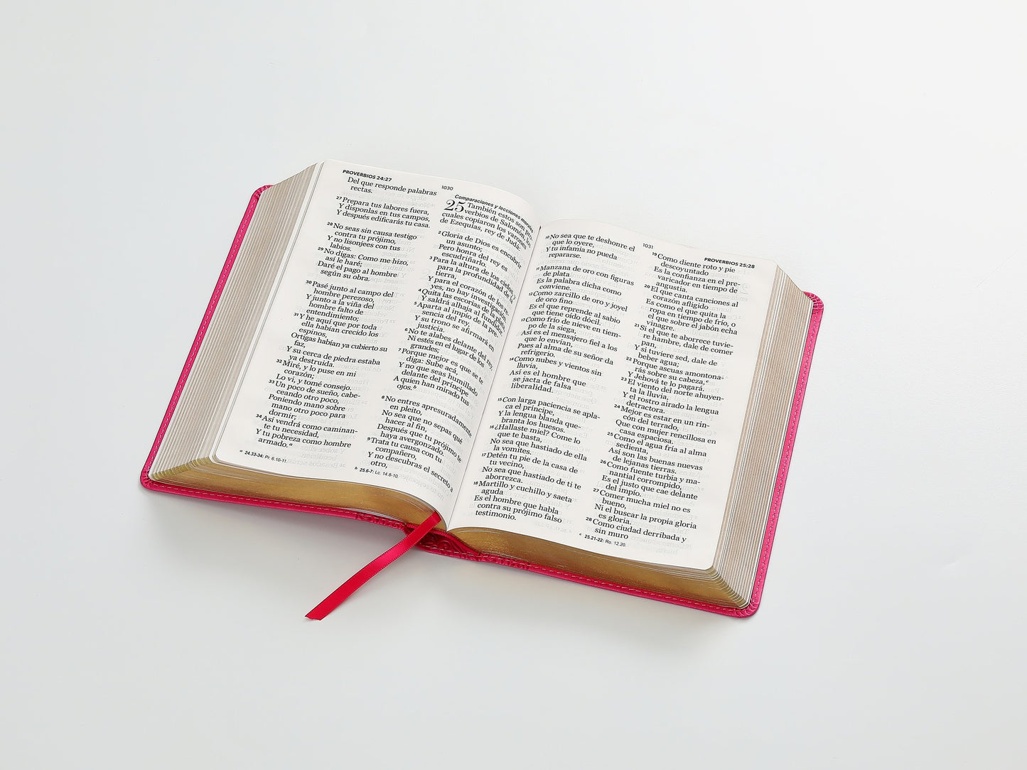 Biblia RVR1960 Tamaño manual  - Imitación Piel, Color Fucsia, Letra Grande 14 Puntos