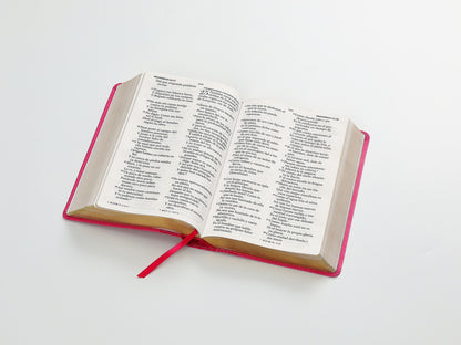 Biblia RVR1960 Tamaño manual  - Imitación Piel, Color Fucsia, Letra Grande 14 Puntos