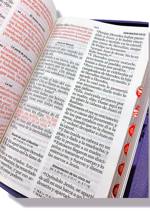Biblia RVR1960 Tamaño Manual -  Color Lila con Flores, Cierre, Indices, Letra 14 Puntos