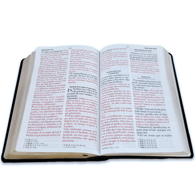 Biblia RVR1960 Tamaño Manual - Color Negro, Imitación Piel, Letra 14 puntos