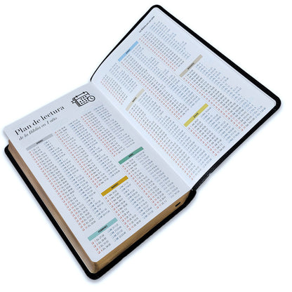 Biblia RVR1960 Tamaño Manual - Color Negro, Imitación Piel, Letra 14 puntos