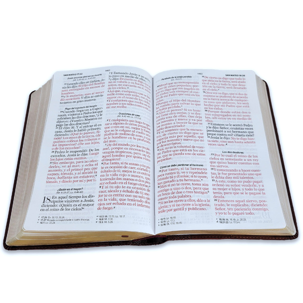 Biblia RVR1960 Tamaño Manual - Color Café Oscuro, Imitación Piel, Letra 14 puntos
