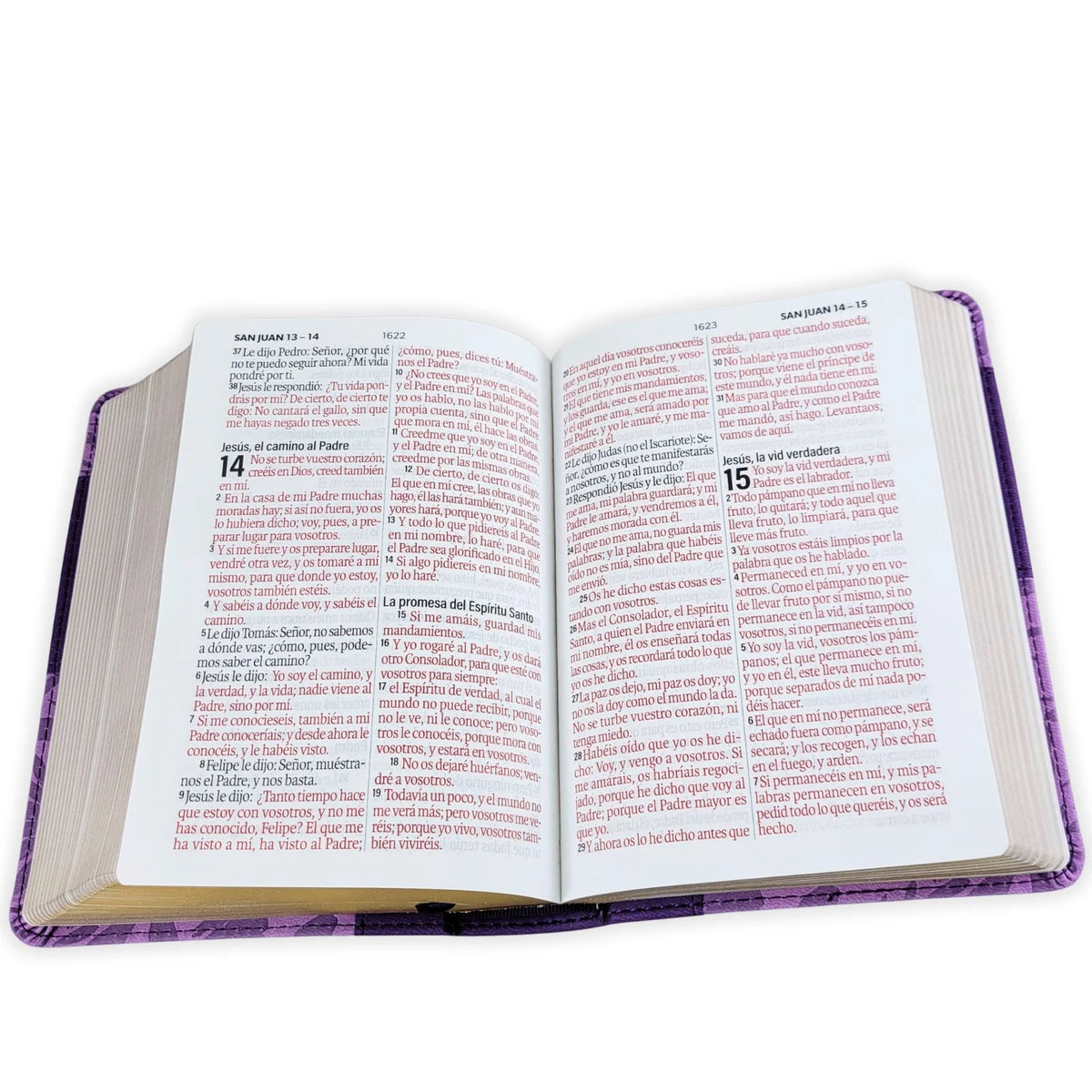 Biblia RVR1960, Tamaño Manual Con Lazo, Color Lila/Morado, Letra 11 puntos